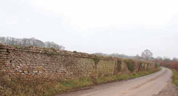 Stalbridge Park wall